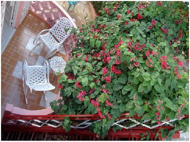 Chambre avec petit d�jeuner �/en/au ViÃ±ales (Pinar del Rio)ou appartement ou maison de vacances