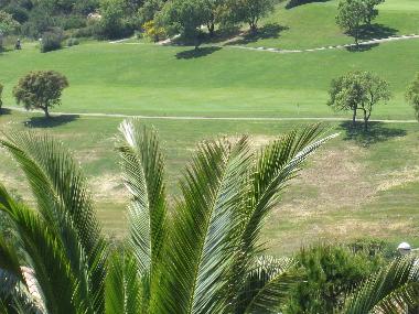 Villa /en/au Sainte-Maxime (Var)ou appartement ou maison de vacances