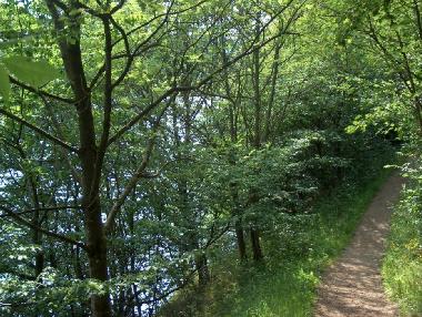 Appartement de vacances �/en/au Manderfeld (Wallonia)ou appartement ou maison de vacances