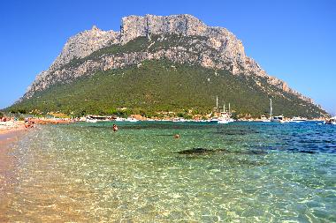Appartement de vacances /en/au Olbia (Olbia-Tempio)ou appartement ou maison de vacances