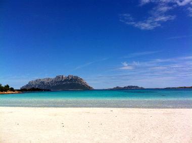 Appartement de vacances /en/au Olbia (Olbia-Tempio)ou appartement ou maison de vacances