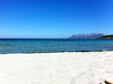 Appartement de vacances /en/au Olbia (Olbia-Tempio)ou appartement ou maison de vacances