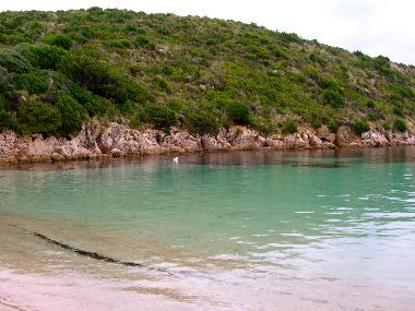 Appartement de vacances /en/au Olbia (Olbia-Tempio)ou appartement ou maison de vacances