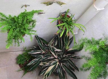 Maison de vacances �/en/au Haz-Zebbug (Malte)ou appartement ou maison de vacances