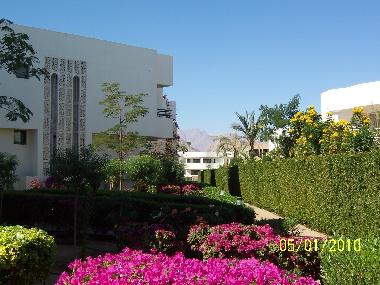Appartement de vacances �/en/au Sharm el Sheikh (Janub Sina