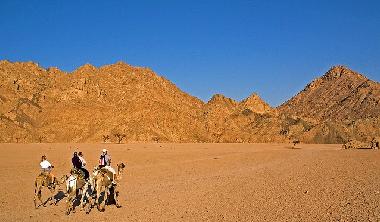 Appartement de vacances �/en/au Sharm el Sheikh (Janub Sina