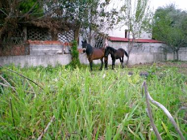 Maison de vacances /en/au Xoreuto (Magnisia)ou appartement ou maison de vacances