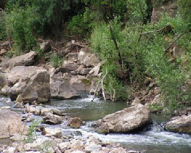 Maison de vacances /en/au Grazalema Park (Cdiz)ou appartement ou maison de vacances