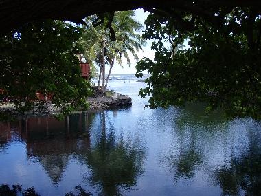 Maison de vacances �/en/au Pahoa (Hawaii)ou appartement ou maison de vacances