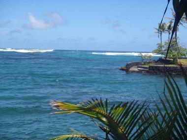 Maison de vacances �/en/au Pahoa (Hawaii)ou appartement ou maison de vacances