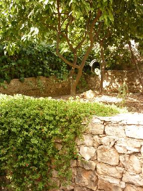 Appartement de vacances �/en/au Seget Vranjica (Splitsko-Dalmatinska)ou appartement ou maison de vacances