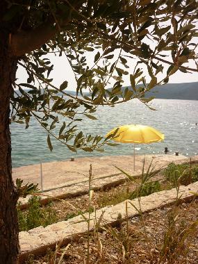 Appartement de vacances �/en/au Seget Vranjica (Splitsko-Dalmatinska)ou appartement ou maison de vacances