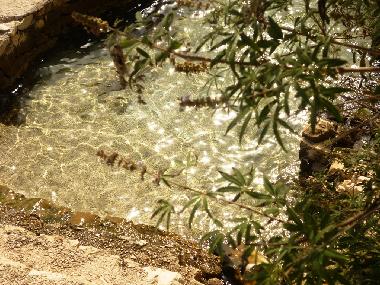 Appartement de vacances �/en/au Seget Vranjica (Splitsko-Dalmatinska)ou appartement ou maison de vacances