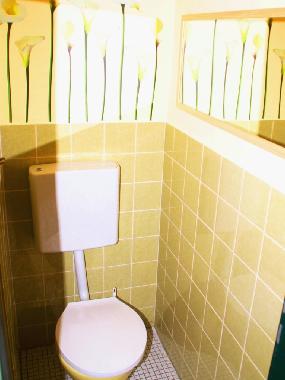 Appartement de vacances /en/au Bad Ems (Rheintal, Lahn, Taunus)ou appartement ou maison de vacances