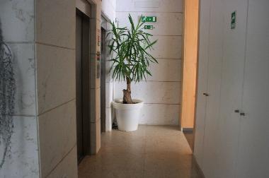 Appartement de vacances �/en/au Lisboa (Grande Lisboa)ou appartement ou maison de vacances