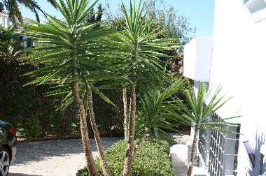 Villa /en/au Marbella (Mlaga)ou appartement ou maison de vacances