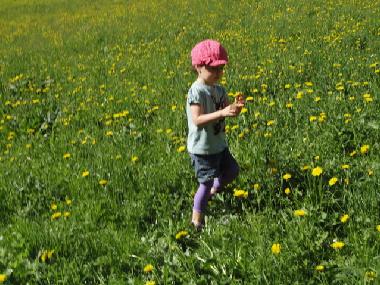 Appartement de vacances /en/au Abtenau (Salzburg und Umgebung)ou appartement ou maison de vacances