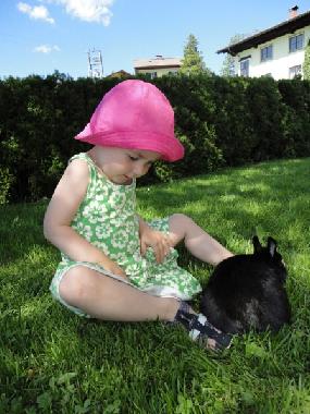 Appartement de vacances /en/au Abtenau (Salzburg und Umgebung)ou appartement ou maison de vacances