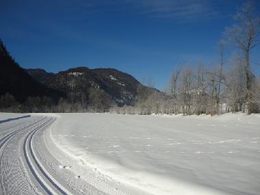 Appartement de vacances /en/au Abtenau (Salzburg und Umgebung)ou appartement ou maison de vacances