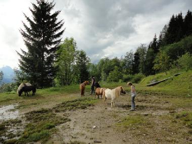 Appartement de vacances /en/au Abtenau (Salzburg und Umgebung)ou appartement ou maison de vacances