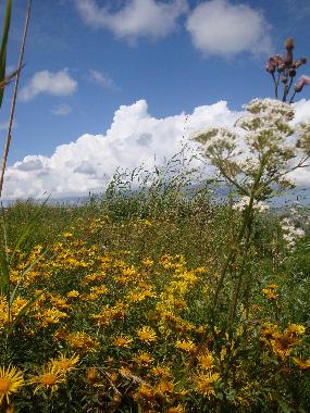 Bateau �/en/au L�bara (Saaremaa)ou appartement ou maison de vacances