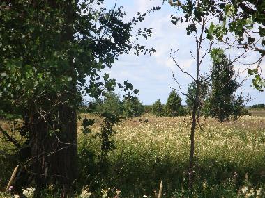 Bateau �/en/au L�bara (Saaremaa)ou appartement ou maison de vacances