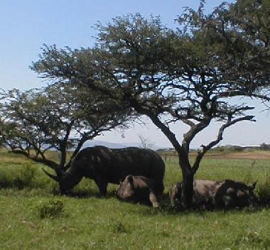 Chalet �/en/au St. Michael