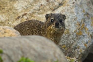 Chalet �/en/au St. Michael