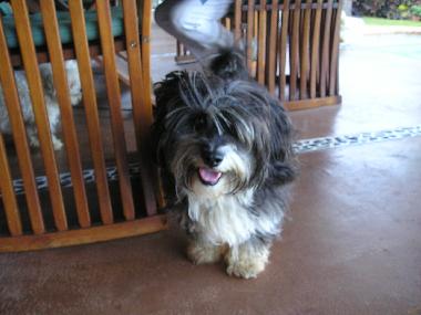 Chalet �/en/au St. Michael