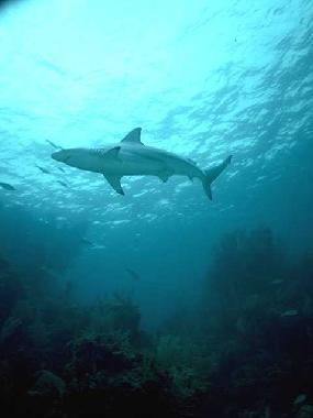 Chalet �/en/au St. Michael