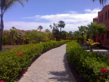 Appartement de vacances �/en/au CORRALEJO (Fuerteventura)ou appartement ou maison de vacances