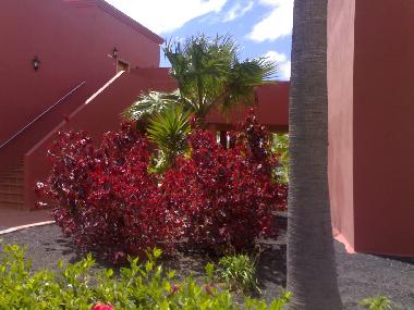 Appartement de vacances �/en/au CORRALEJO (Fuerteventura)ou appartement ou maison de vacances