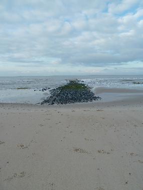 Maison de vacances /en/au Callantsoog (Noord-Holland)ou appartement ou maison de vacances