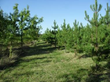 Appartement de vacances �/en/au Saint Aubin de Luign� (Maine-et-Loire)ou appartement ou maison de vacances