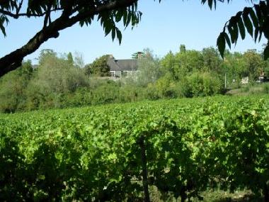 Appartement de vacances �/en/au Saint Aubin de Luign� (Maine-et-Loire)ou appartement ou maison de vacances