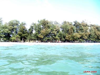 La plage est borde d