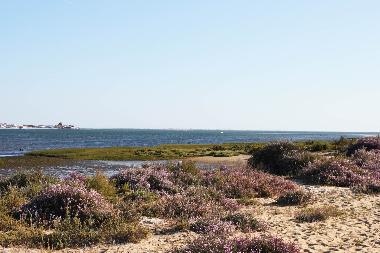Maison de vacances /en/au Olhao (Algarve)ou appartement ou maison de vacances