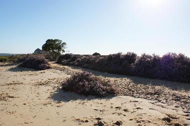 Maison de vacances /en/au Olhao (Algarve)ou appartement ou maison de vacances