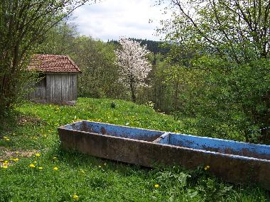Maison de vacances /en/au Anould (Vosges)ou appartement ou maison de vacances
