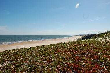 Maison de vacances �/en/au Punta del Este (Maldonado)ou appartement ou maison de vacances