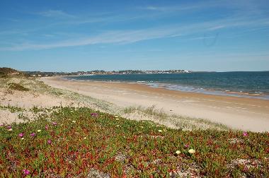 Maison de vacances �/en/au Punta del Este (Maldonado)ou appartement ou maison de vacances