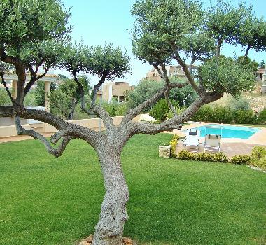 Chalet /en/au Peiscola (Castelln / Castell)ou appartement ou maison de vacances