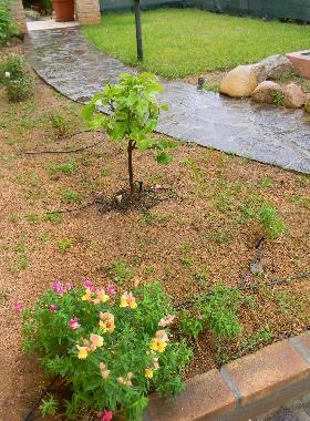 Maison de vacances /en/au Capoterra (Cagliari)ou appartement ou maison de vacances