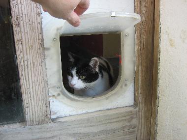 Maison de vacances �/en/au Alba (Cuneo)ou appartement ou maison de vacances