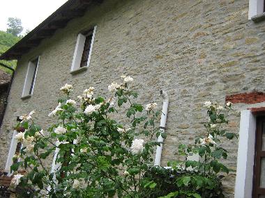 Maison de vacances �/en/au Alba (Cuneo)ou appartement ou maison de vacances