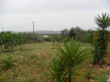 vue  droite de la proprit