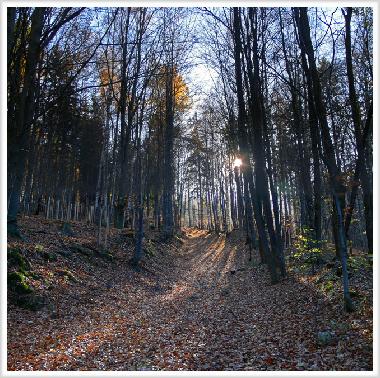 Chalet /en/au Jelenia Gora (Dolnoslaskie)ou appartement ou maison de vacances