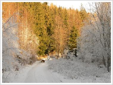 Chalet /en/au Jelenia Gora (Dolnoslaskie)ou appartement ou maison de vacances