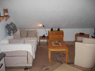 Appartement de vacances /en/au Willingen (Kurhessisches Bergland)ou appartement ou maison de vacances