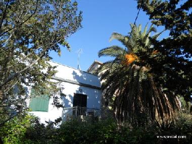 Appartement de vacances /en/au VIS (Splitsko-Dalmatinska)ou appartement ou maison de vacances